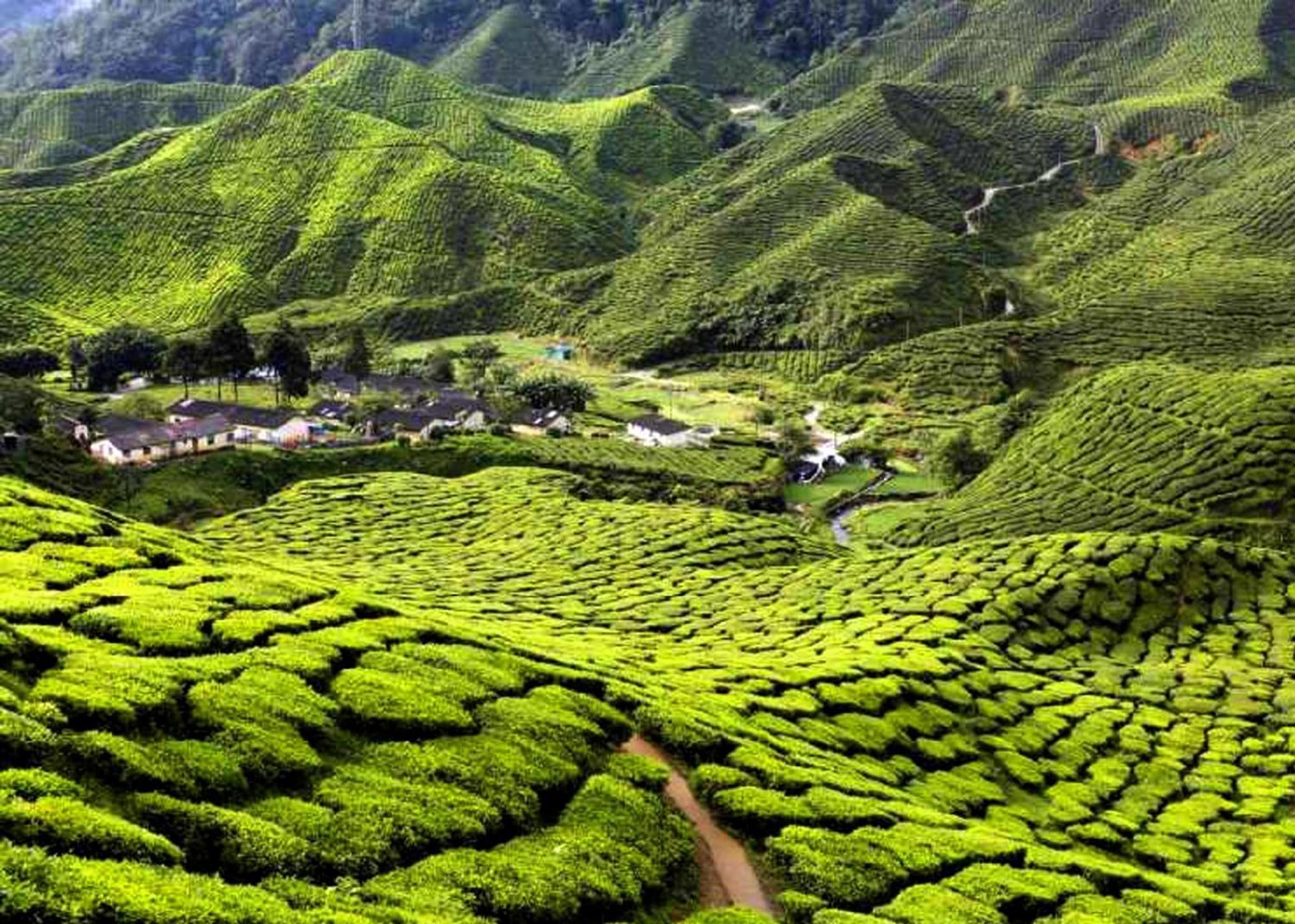 Ark Serendah Hotel Hulu Yam Lama Exteriör bild